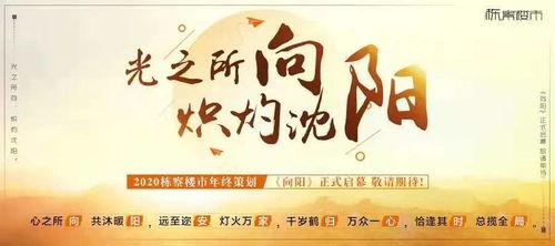 沈阳企业爆料事件最新,揭露背后真相与行业隐忧